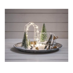 Ogródek zimowy z nartami